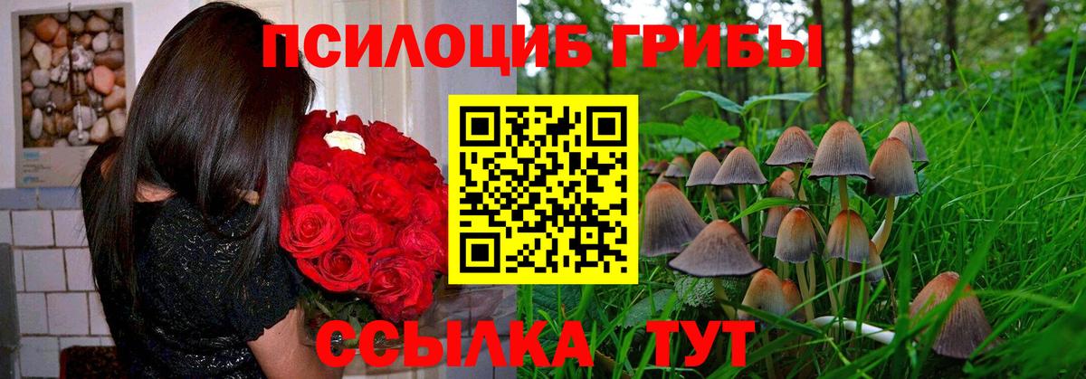 Галлюциногенные грибы мицелий  Вход с VPN  Галлюциногенные грибы GOLDEN TEACHER  Урай 